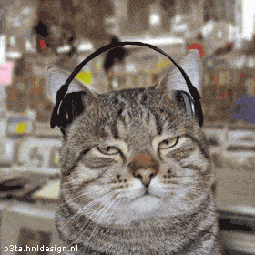 ATT3938185.gif