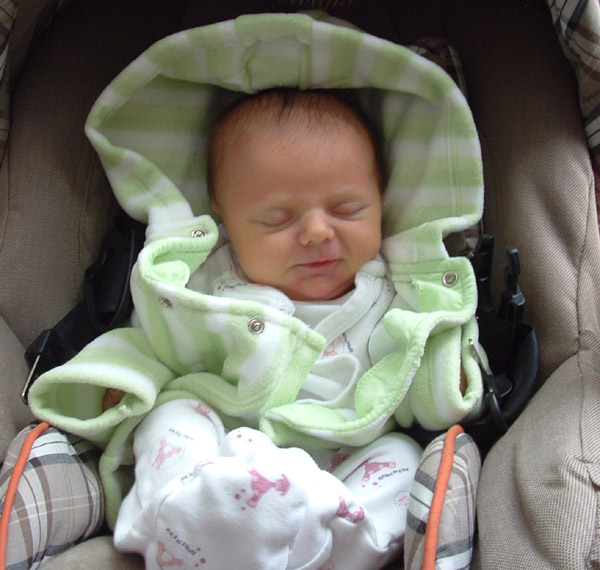 carseat2.1.jpg