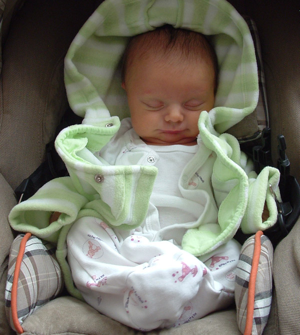 carseat3.jpg