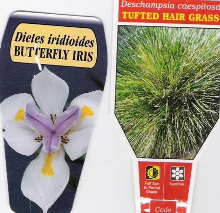 Aplant4.jpg