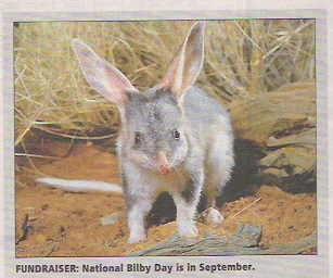 BILBY-for-TT.jpg