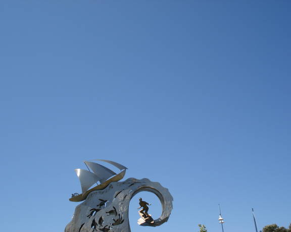 Kangaroo-pawsvivid-blue-sky.jpg