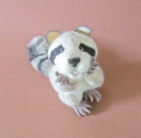 Raccon4.jpg