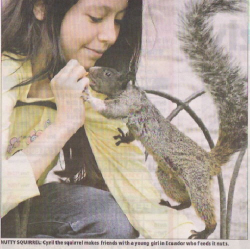 a-suqirrel-for-Kimberly.jpg