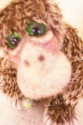 ameliapuddlescloseupportrait.jpg