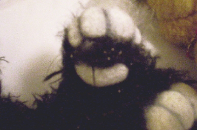 felted-paw1.jpg