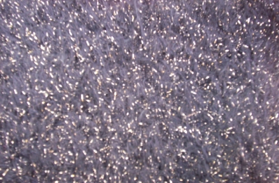goldkittyfabricsampleweb.jpg