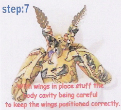 step7wings.jpg