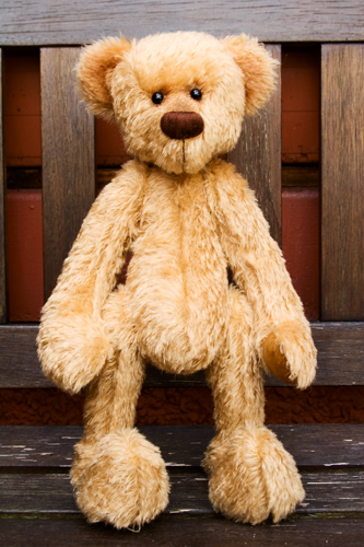 Teddy-2.jpg