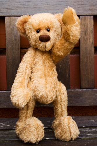 Teddy-3.jpg