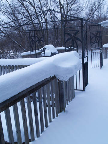 Snow_2008.jpg