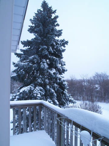 Snow_20082.jpg