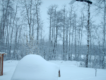 winter1.jpg