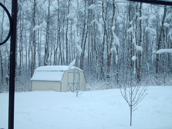 winter2.jpg