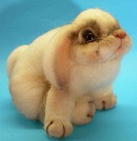 bun-R-200.jpg