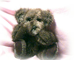 furbear1.JPG