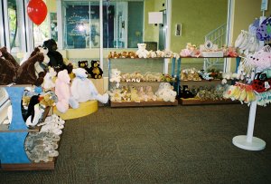 Bear-Store-pic-4.jpg