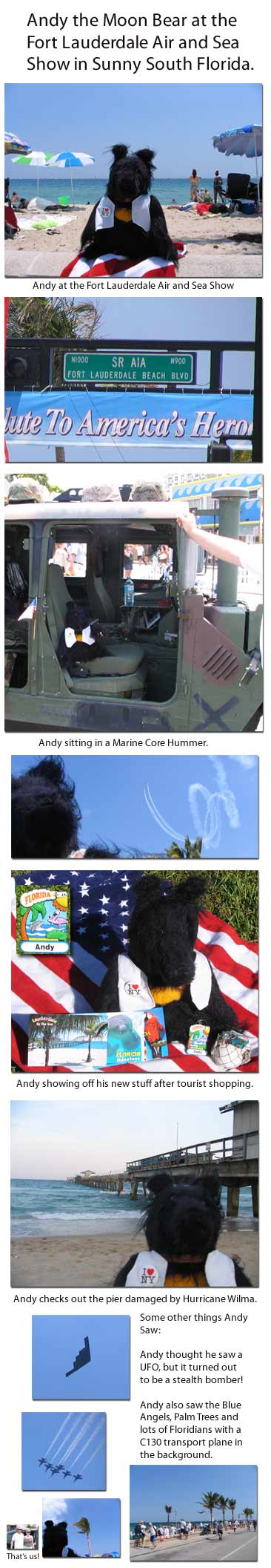 andy_the_moon_bear-air-show.jpg