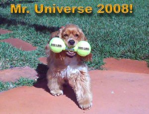 charlie-mr-universe-1a.jpg