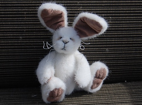 bunny-4.jpg