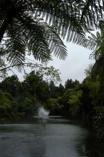 pukekurapark3.jpg