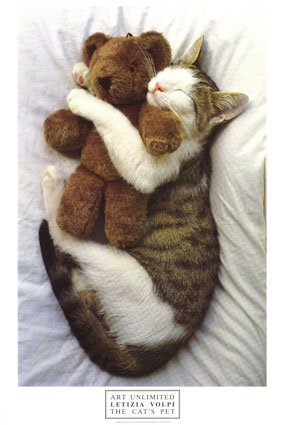 The-Cats-Pet-Print-C10036502.jpg