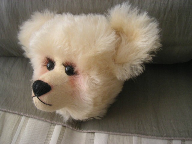 teddy-head-003.jpg