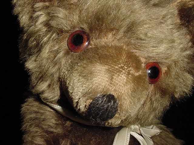 teddy2.jpg