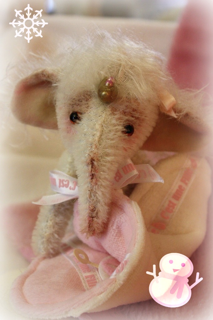 Baby-Lou-9.jpg