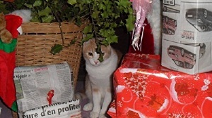 SAM_0017.JPG