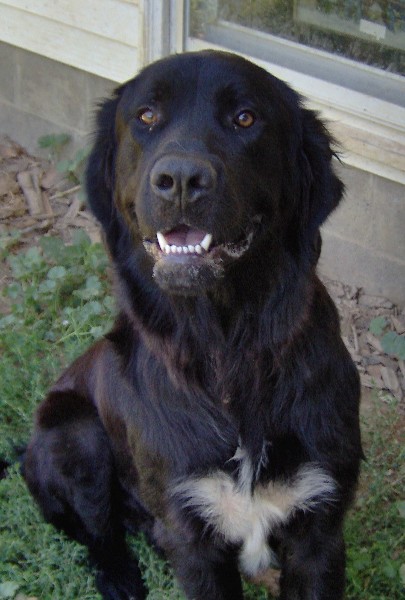 HPIM0785.jpg