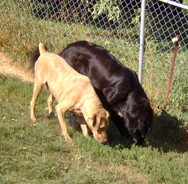 HPIM0788.jpg