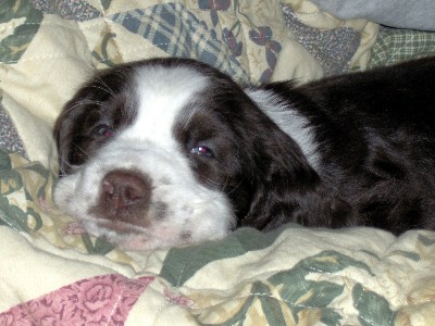 percival-015.jpg