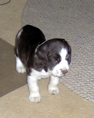 percival-019.jpg