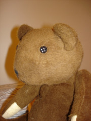 bear-003.jpg