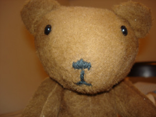 bear-004.jpg