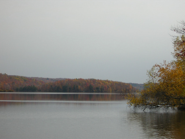 fall-1.jpg