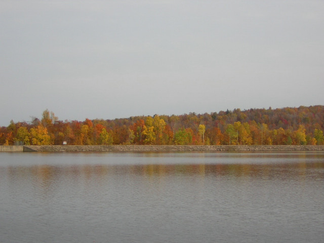 fall-2.jpg