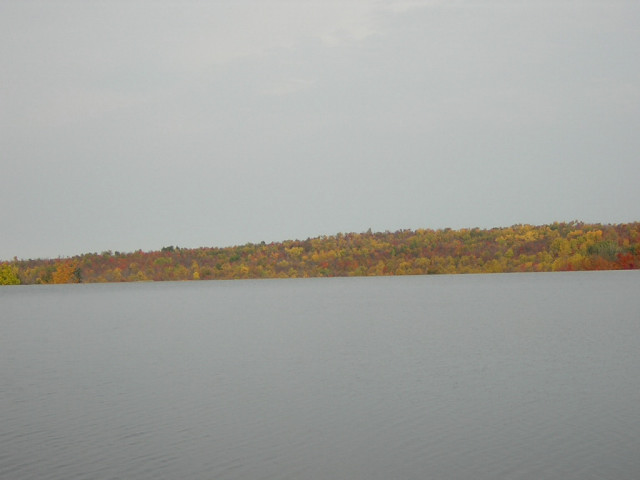 fall-3.jpg