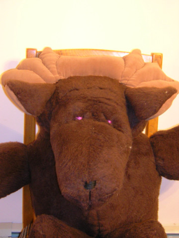moose-head.jpg