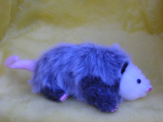 opossum5.jpg