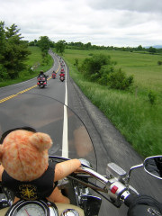 ride2.jpg