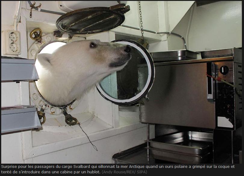 ours_bateau.JPG