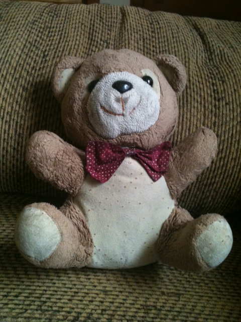 teddy_bear.JPG