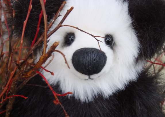 Panda-with-blueberry-shoots.jpg