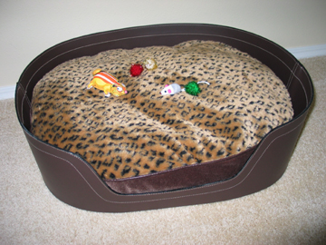 cat-bed.jpg