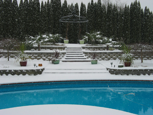 snow1.jpg