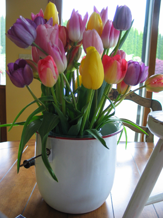 tulips.jpg