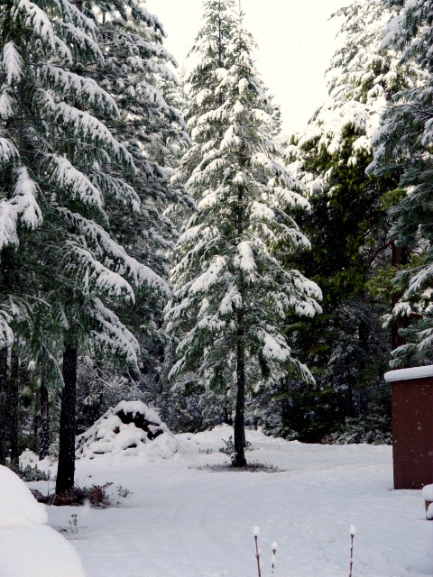 DSC00388.JPG