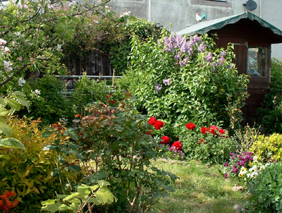garden-1.jpg
